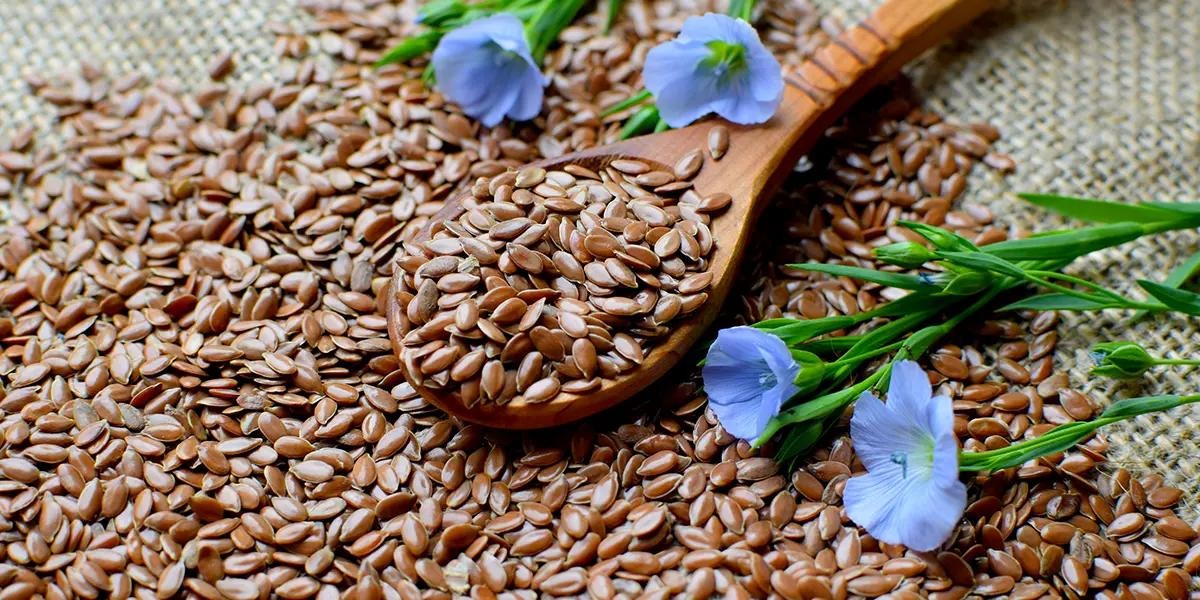 Flaxseed